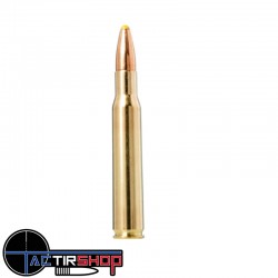 Munition Norma Plastic Point 30-06 Springfield 11.7g/180gr boite de 20 www.tactirshop.fr
