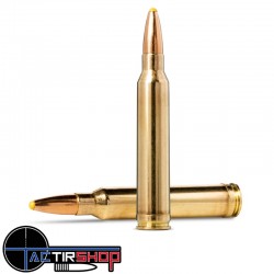 Munition Norma Plastic Point 300 Winchester Magnum 11.7g/180gr boite de 20 www.tactirshop.fr