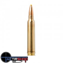 Munition Norma Plastic Point 300 Winchester Magnum 11.7g/180gr boite de 20 www.tactirshop.fr