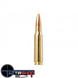 Munition Norma Plastic Point 308 Winchester 11.7g/180gr boite de 20 www.tactirshop.fr