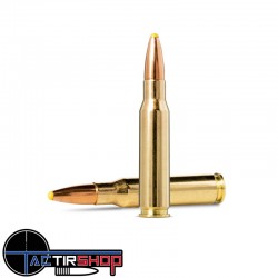 Munition Norma Plastic Point 308 Winchester 11.7g/180gr boite de 20 www.tactirshop.fr