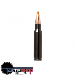 Munition Norma Tipstrike Silencer 308 Win 11g/170gr boite de 20 www.tactirshop.fr