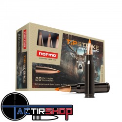 Munition Norma Tipstrike Silencer 308 Win 11 g / 170gr boite de 20 www.tactirshop.fr