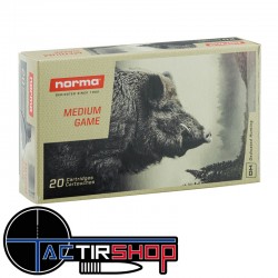 Munition Norma PPDC Plastic Point 308 Winchester 11.7g/180gr boite de 20 www.tactirshop.fr