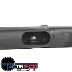 Pack Carabine PCP GAMO Arrow 4.5mm 19.9J + lunette 3-9x40wr + plombs + pompe www.tactirshop.fr