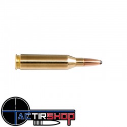 Munitions Norma Whitetail 243 Winchester 100 gr Boite 20 www.tactirshop.fr