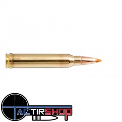 Munitions Norma Tipstrike 300Win Mag 170gr Boite 20 www.tactirshop.fr