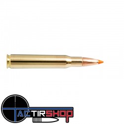 Munitions Norma Tipstrike 30-06 Springfield 170gr Boite 20 www.tactirshop.fr