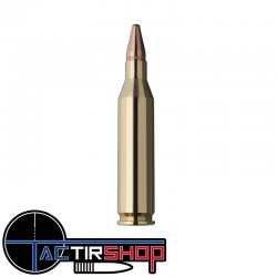 Munitions RWS KS 243 Win 96 grains boite de 20 www.tactirshop.fr