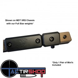 Mini Poids extérieurs M-LOK pour châssis Pete's Pillars 170 g  Lot de 2 www.tactirshop.fr