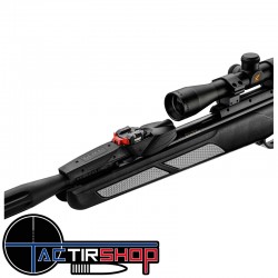 Pack Carabine à plomb Gamo IGT Viper PRO 10X - 4x32wr Cal. 4.5mm - 19.9 joules www.tactirshop.fr