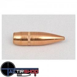 Ogives CAMPRO FMJ 308 BT 165gr SPITZER par 500 www.tactirshop.fr