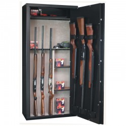 finition de l' armoire infac sentinel 14 armes