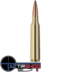 Munition RWS Target Elite Plus 338 Lapua Mag 250gr/16,2G www.tactirshop.fr