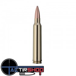Munition RWS Target Elite Plus .308 Win 12,3G / 190g boite de 20 www.tactirshop.fr