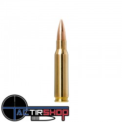 Munition Norma Golden Target Match.308 Win 11.3G / 175g boite de 20 www.tactirshop.fr