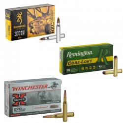Munitions pour armes rayées de chasse