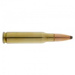 308 Winchester