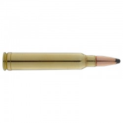 300 Winchester Magnum
